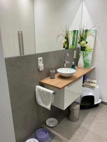 b907fd51-853c-4863-aade-2d9d80f9d7f9 (1)